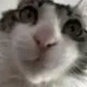 PUITsansFOND