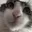 Photo de profil de PUITsansFOND